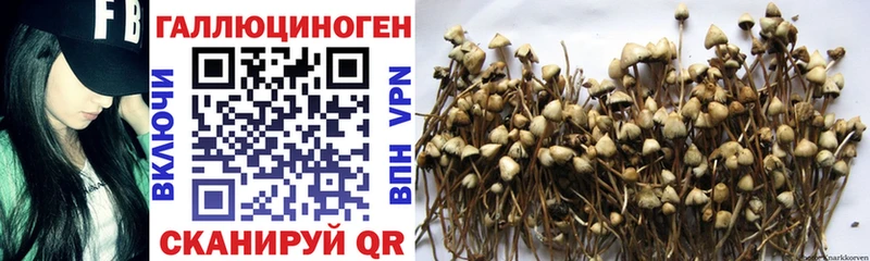 Купить  Норильск  Галлюциногенные грибы мухоморы